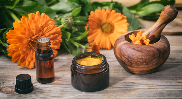 Benefits of Calendula Extract for Your Skin